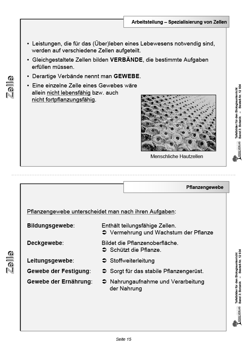 Tafelbilder Botanik