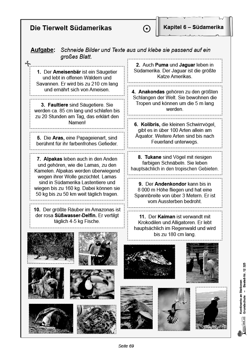 Kontinente an Stationen / Grundschule