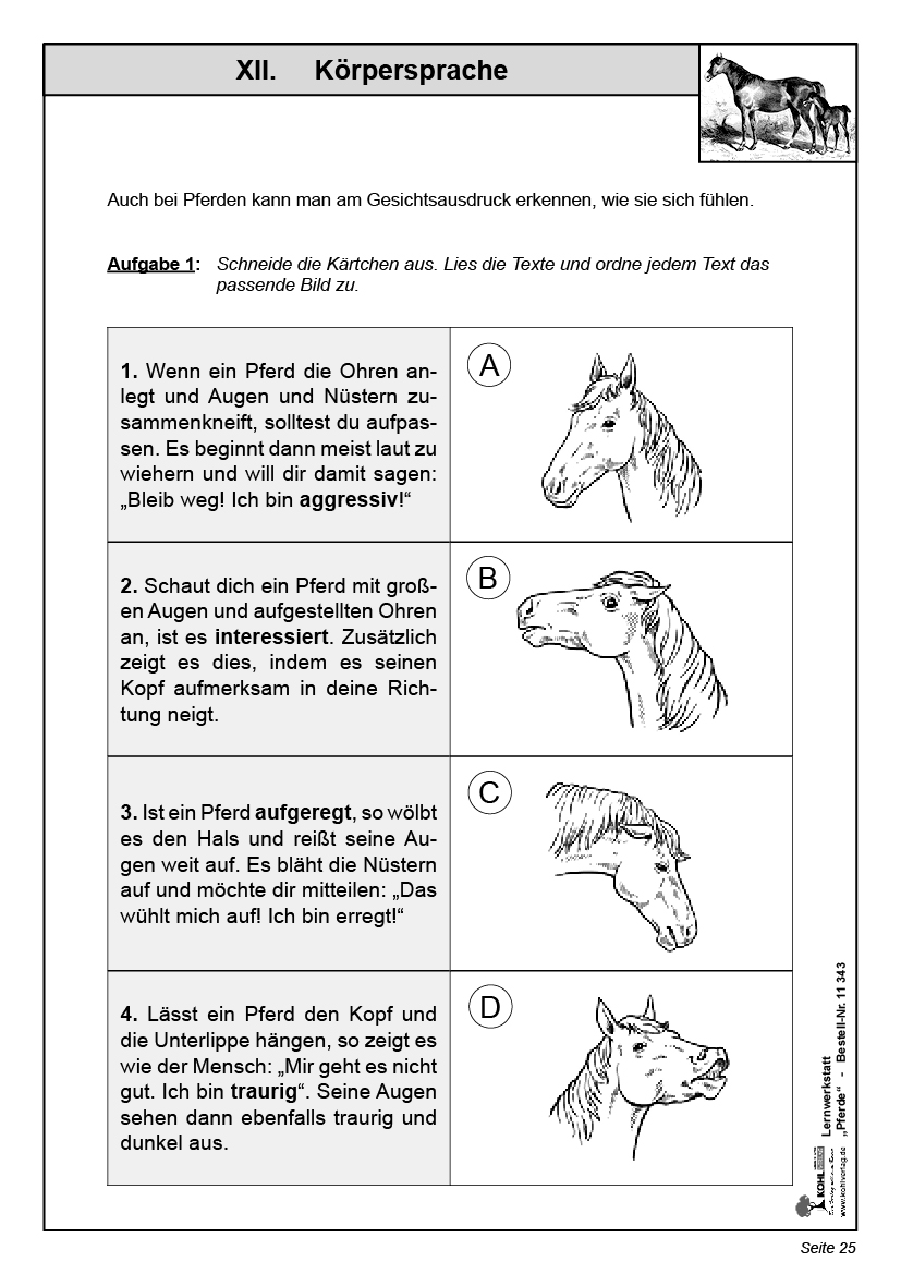 Lernwerkstatt Pferde