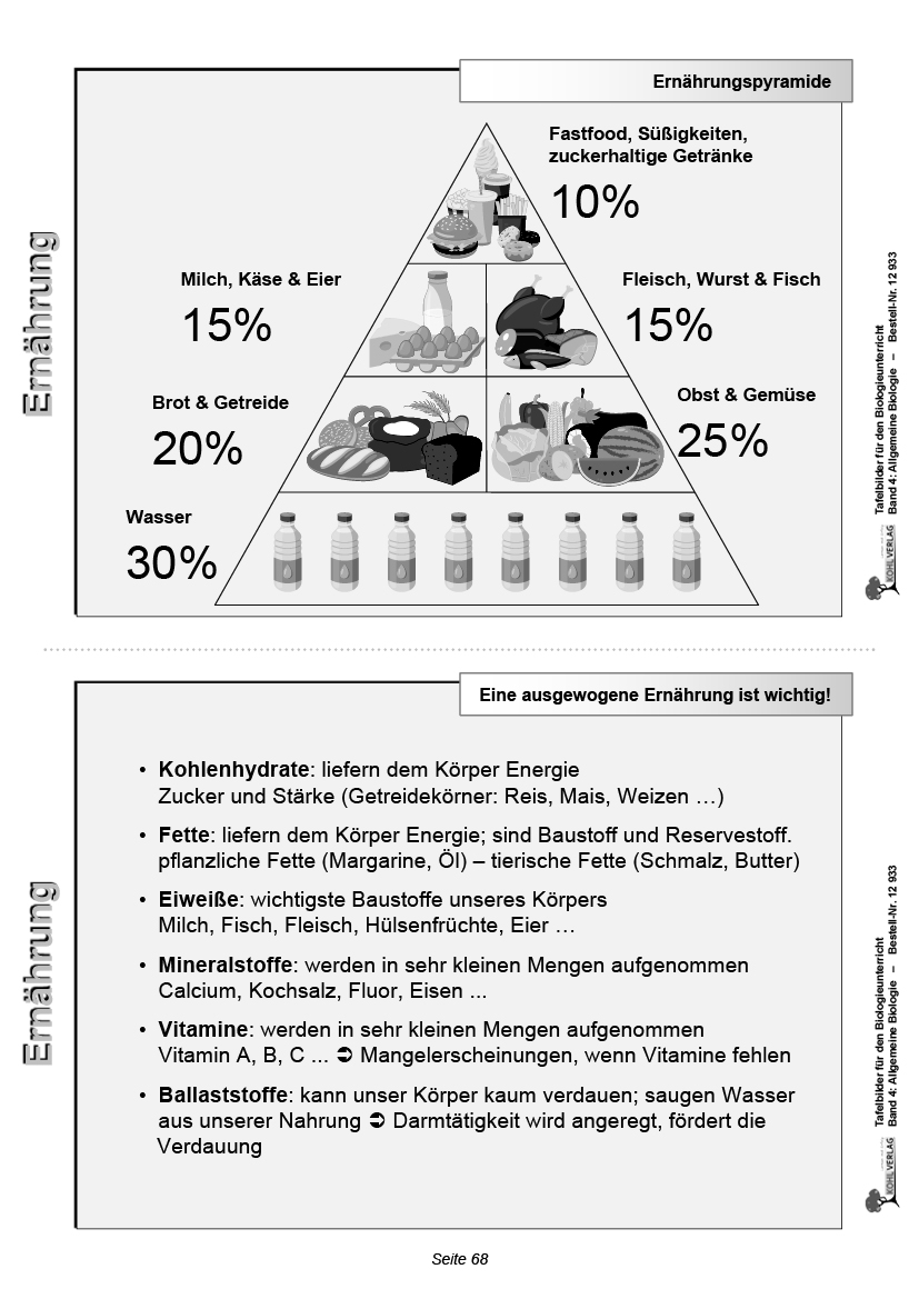 Tafelbilder Allgemeine Biologie