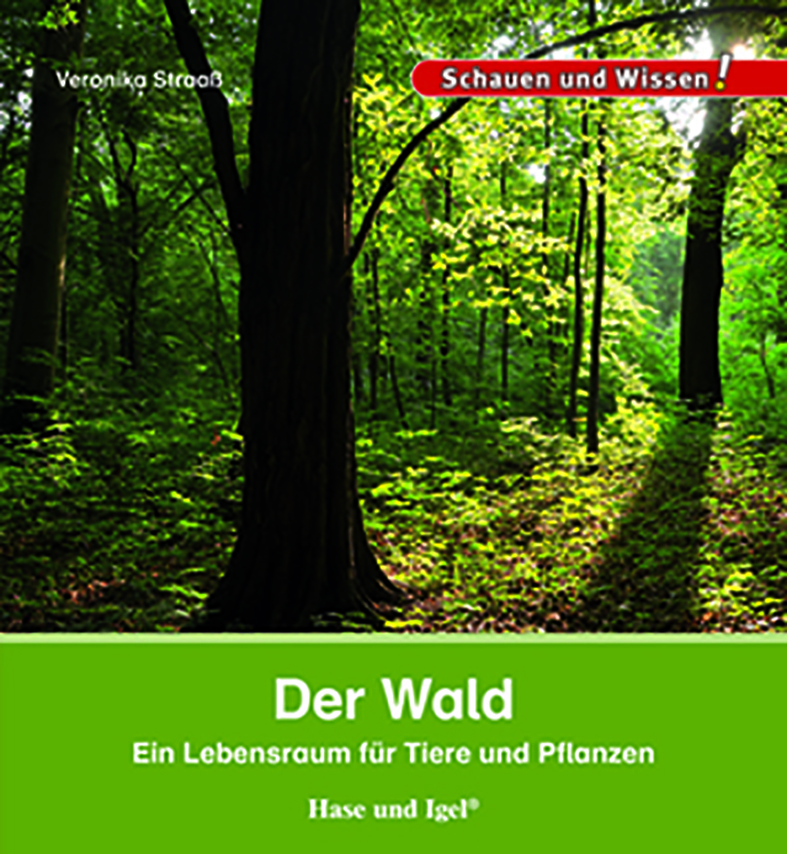 Der Wald Der Wald
