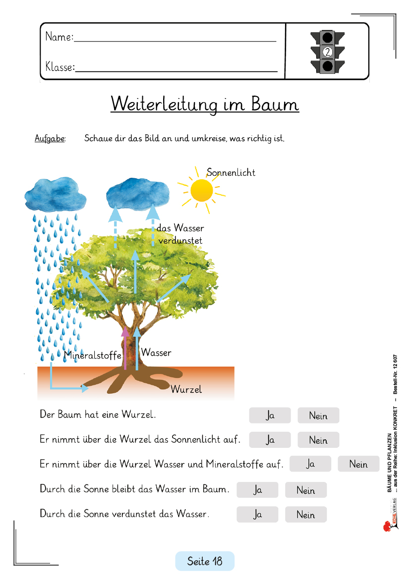 Bäume und Pflanzen