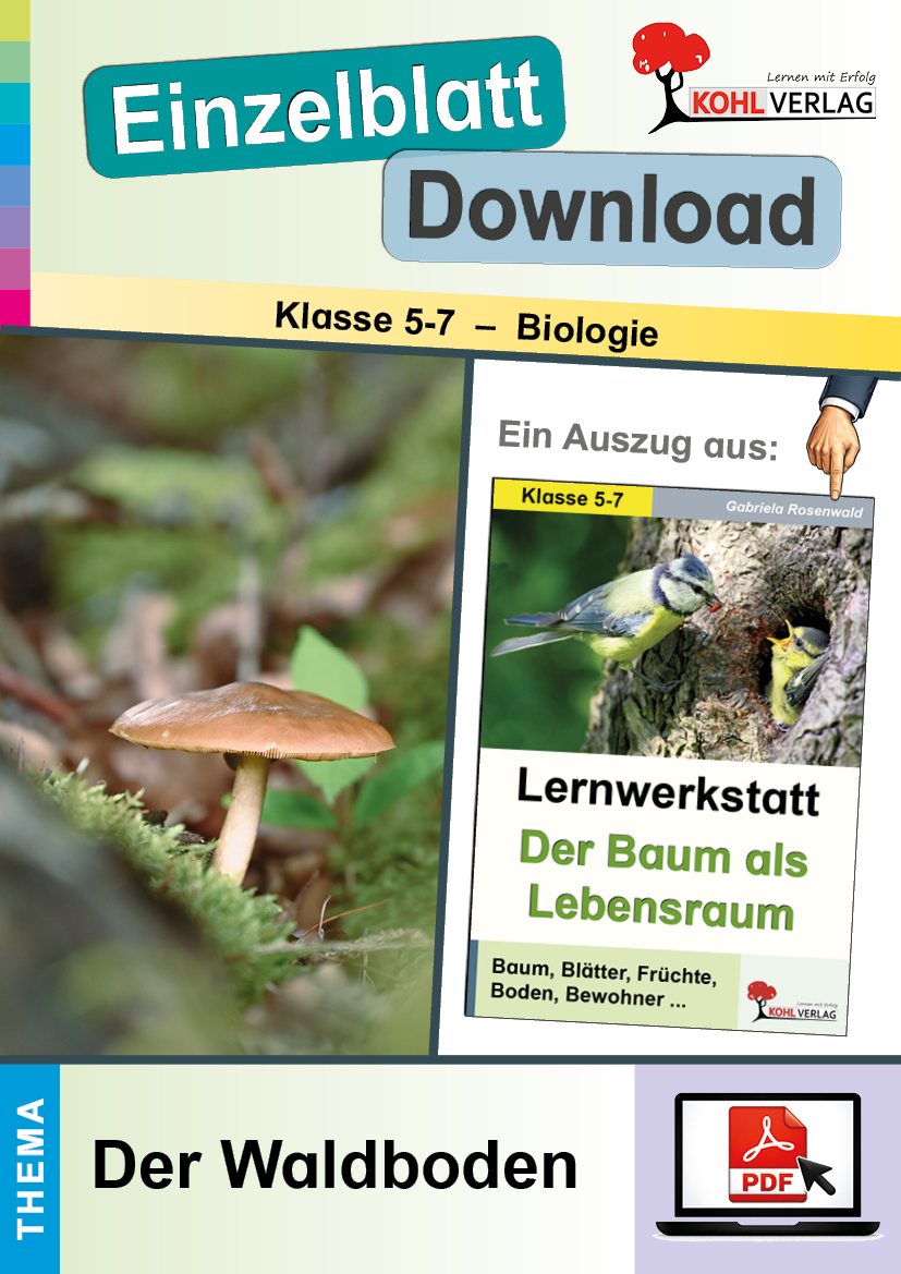 Lernwerkstatt Der Baum als Lebensraum / Der Waldboden