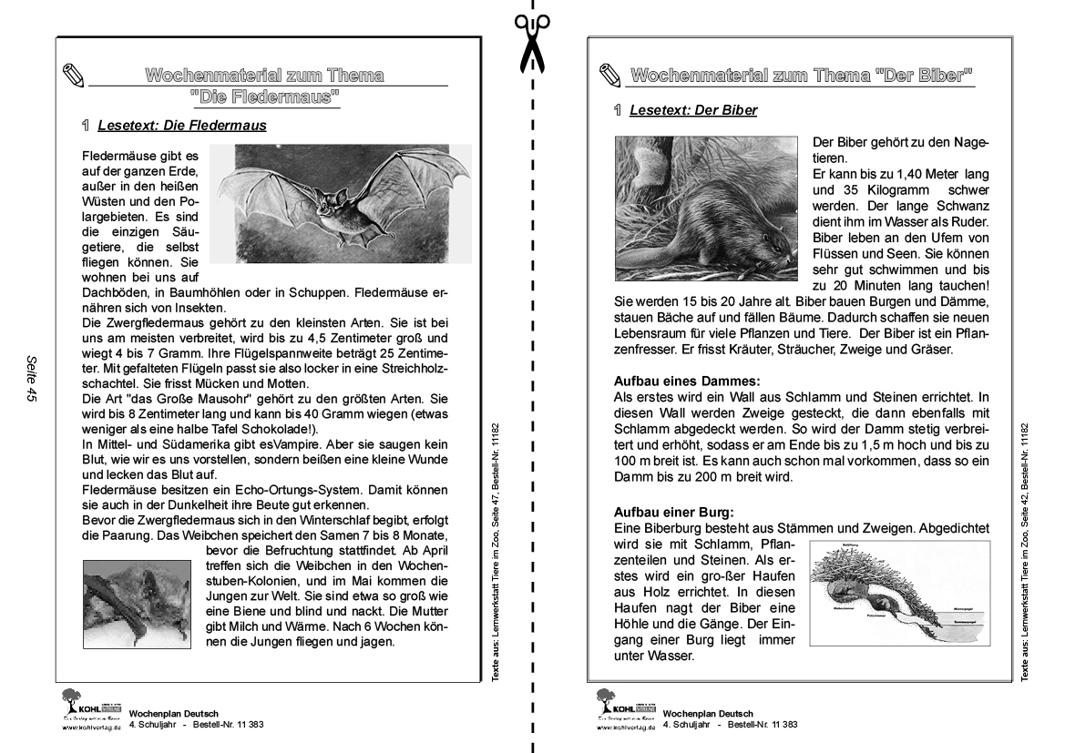 Wochenplan Deutsch / Klasse 4