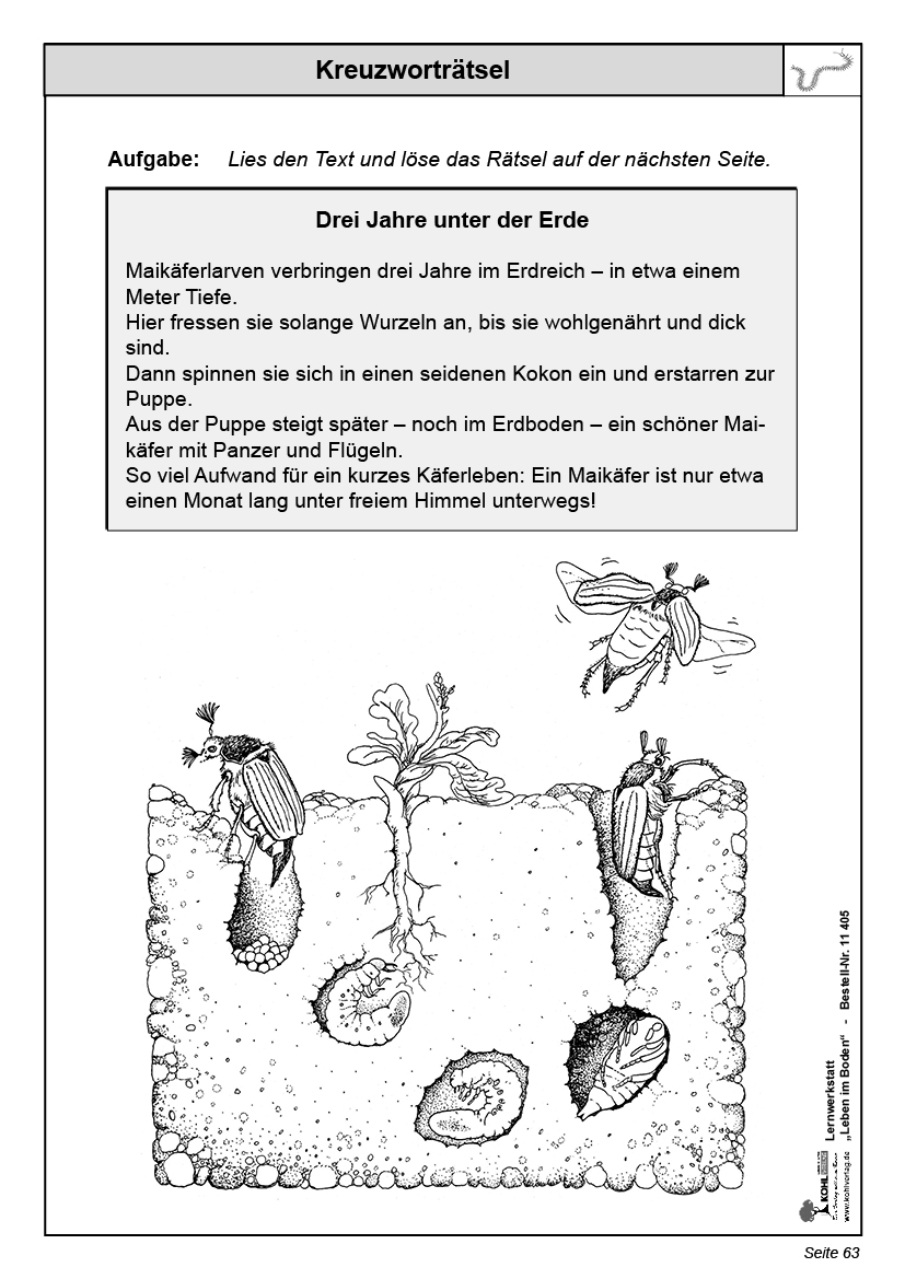 Lernwerkstatt Leben im Boden Lernwerkstatt Leben im Boden
