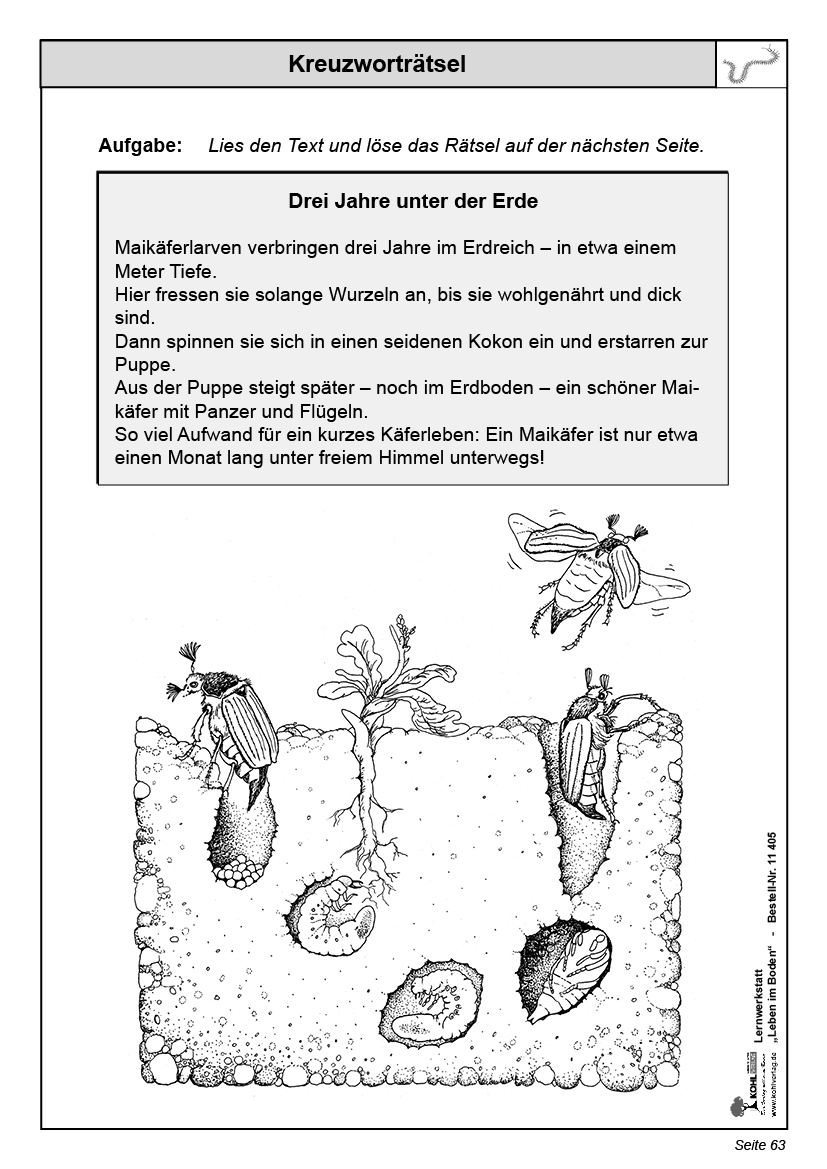 Lernwerkstatt Leben im Boden