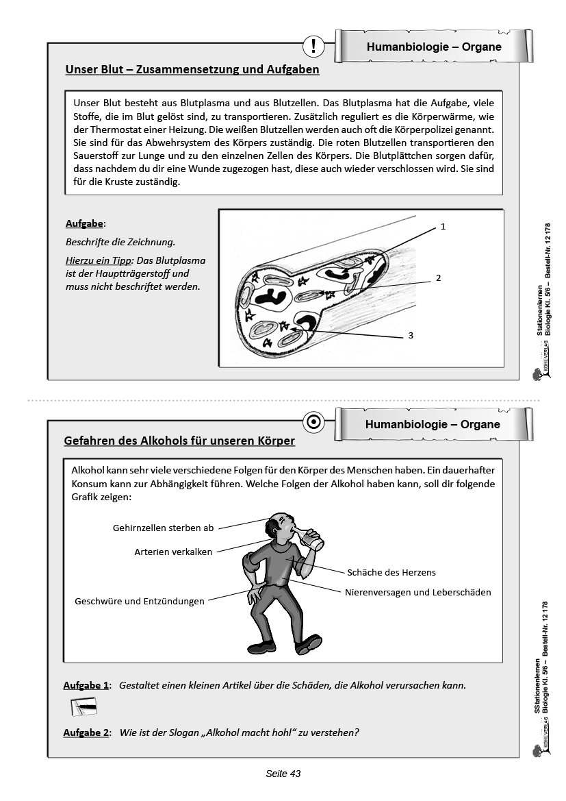 Stationenlernen Biologie 5/6