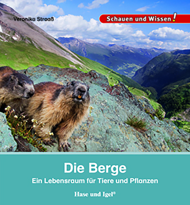 Die Berge