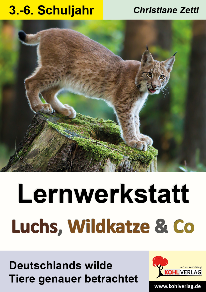 Lernwerkstatt Luchs, Wildkatze & Co