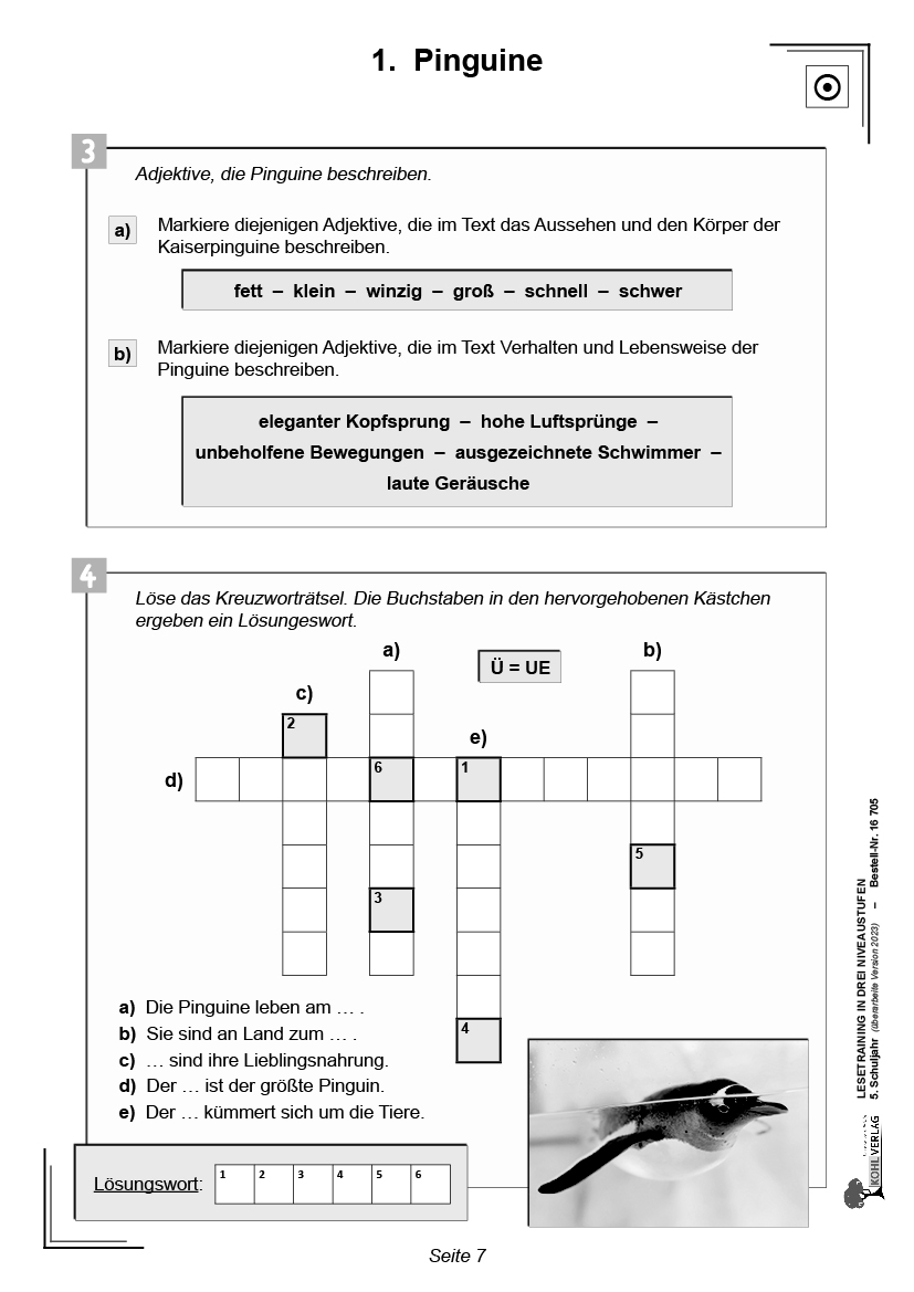 Lesetraining in drei Niveaustufen / Klasse 5