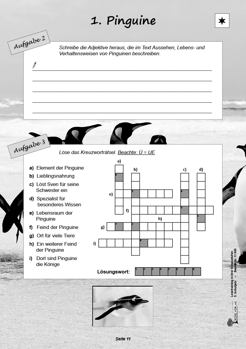 Lesetraining in drei Niveaustufen / Klasse 5