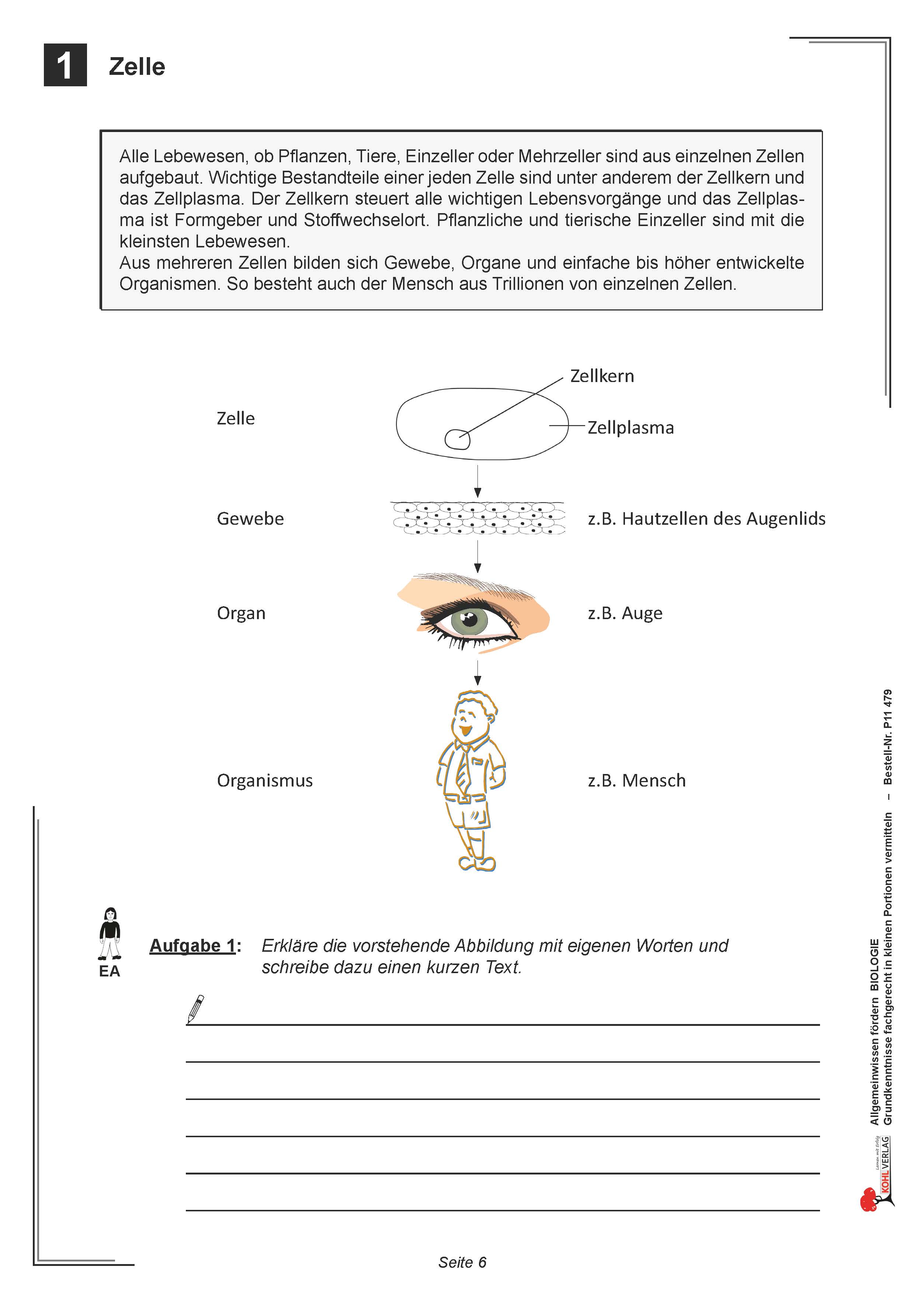 Allgemeinwissen fördern BIOLOGIE: Zelle