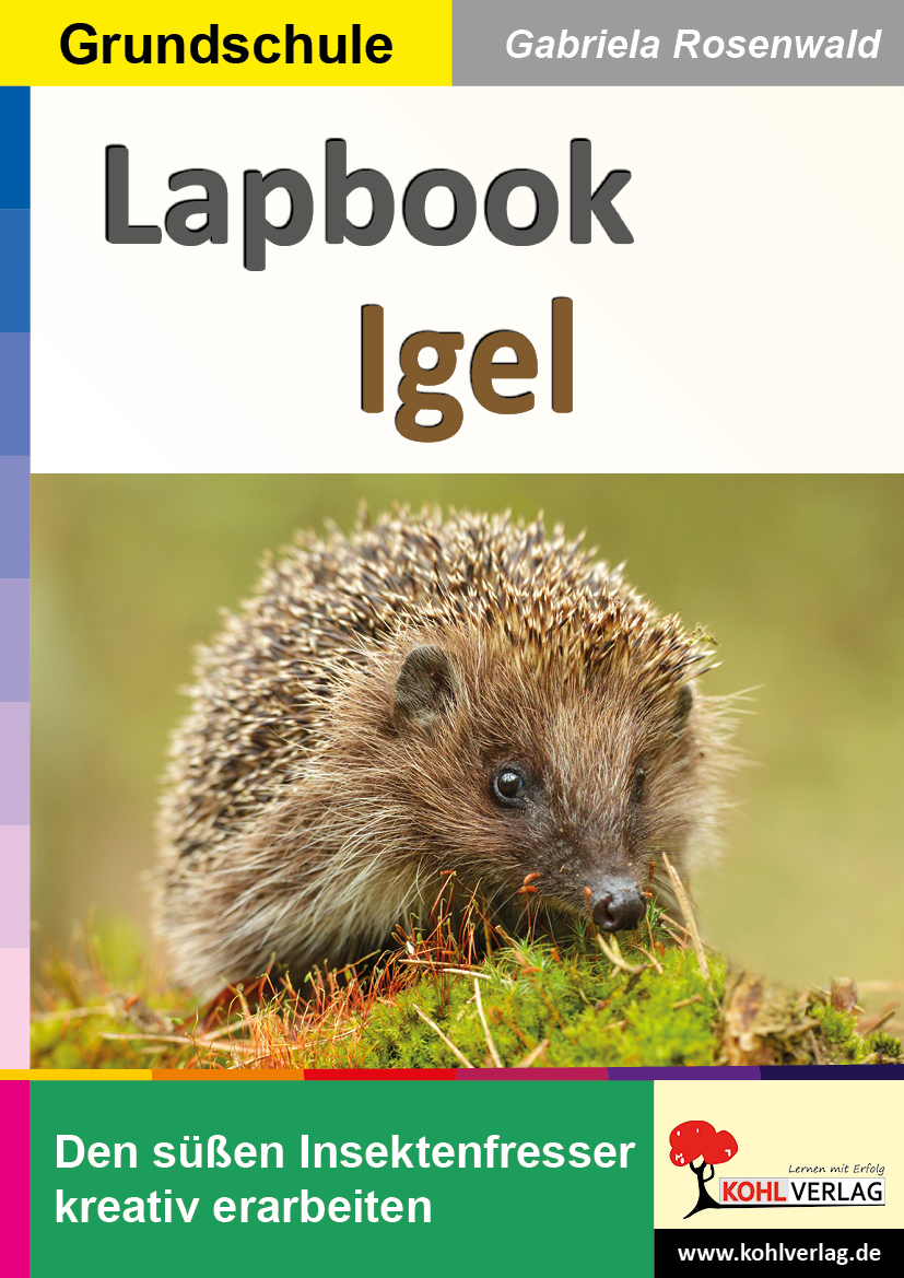 Lapbook Igel Lapbook Igel