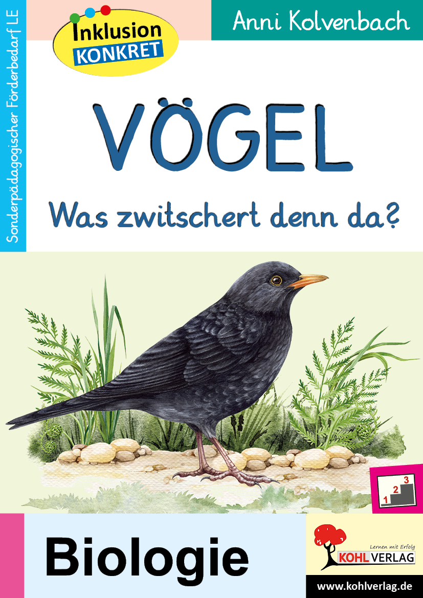 Vögel  -  Was zwitschert denn da? Vögel  -  Was zwitschert denn da?