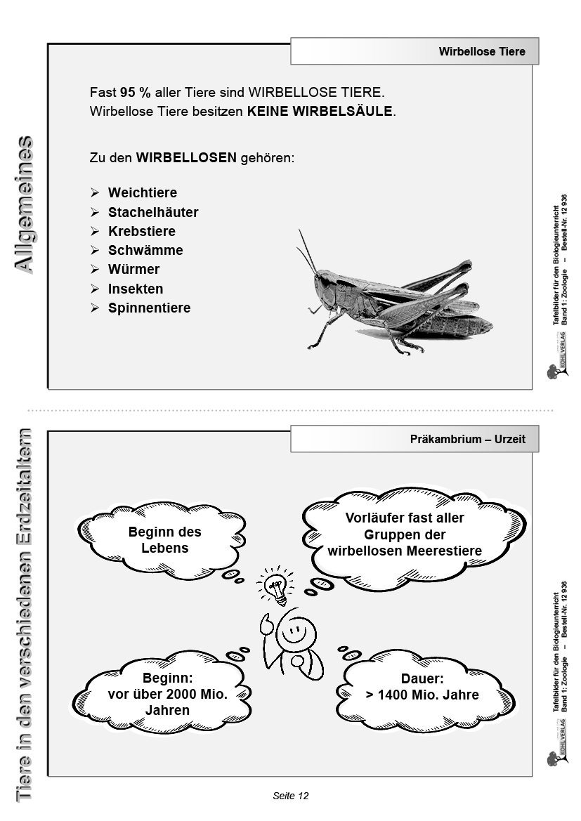 Tafelbilder Zoologie