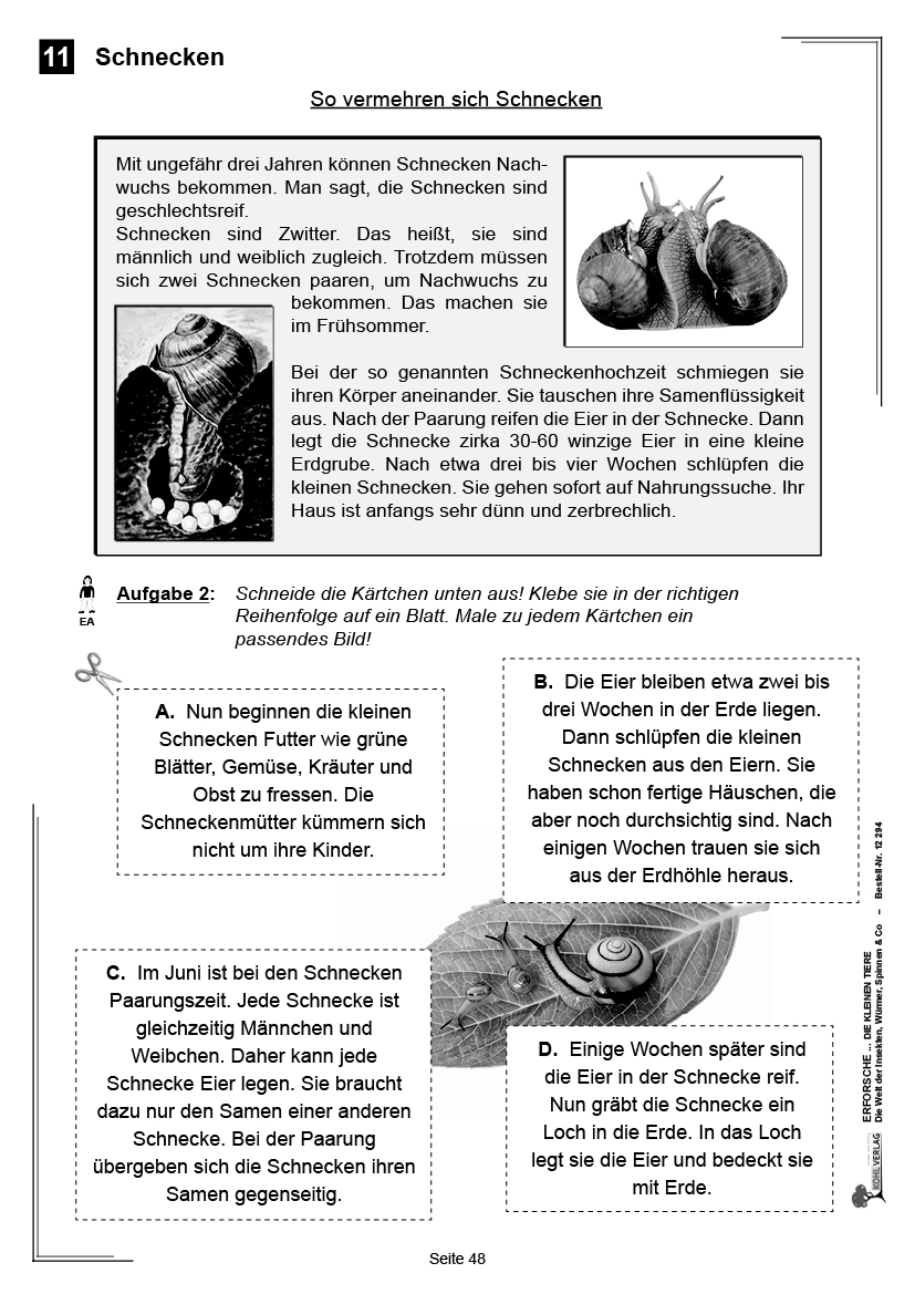 Erforsche ... die kleinen Tiere