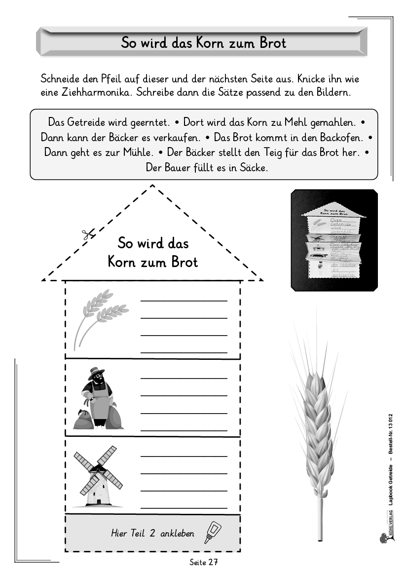 Lapbook Getreide