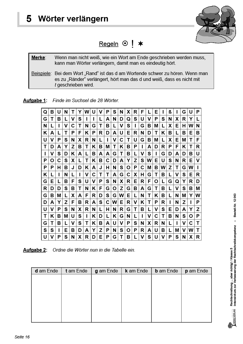 Rechtschreibung ... aber richtig! / Klasse 5