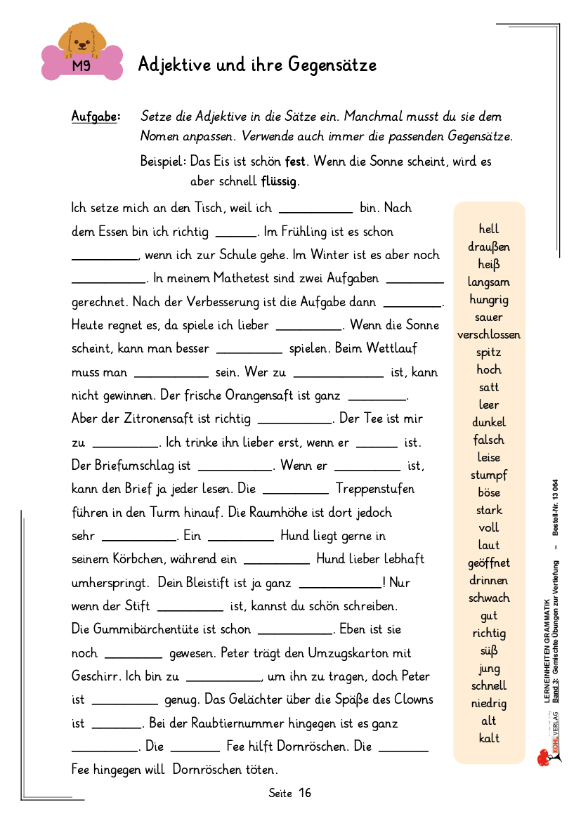 Lerneinheiten Grammatik / Band 3: Gemischte Übungen zur Vertiefung