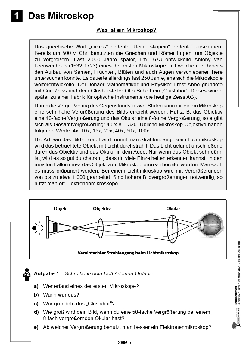 Lernwerkstatt Lebewesen unter dem Mikroskop / Klasse 3-4