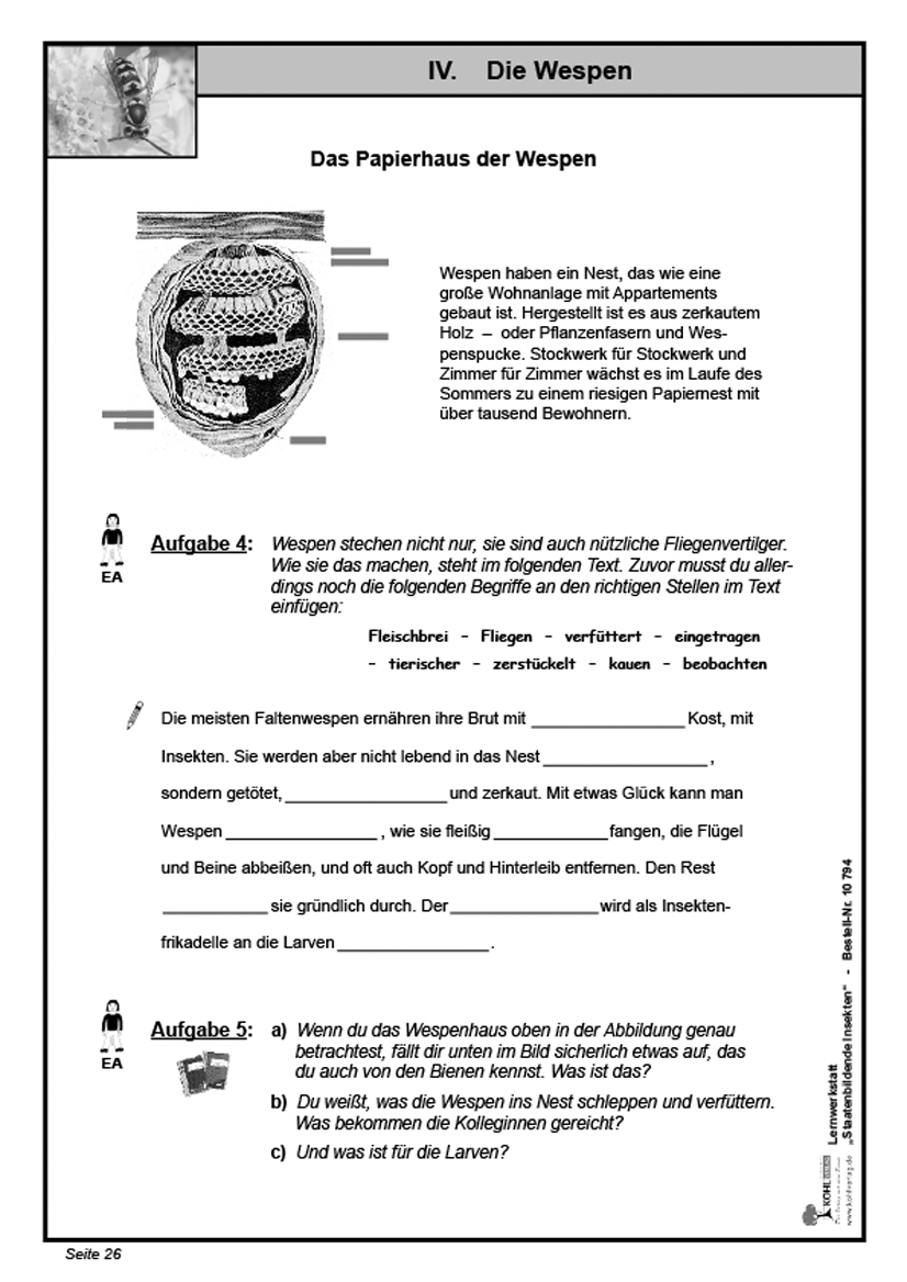 Lernwerkstatt Staatenbildende Insekten Lernwerkstatt Staatenbildende Insekten