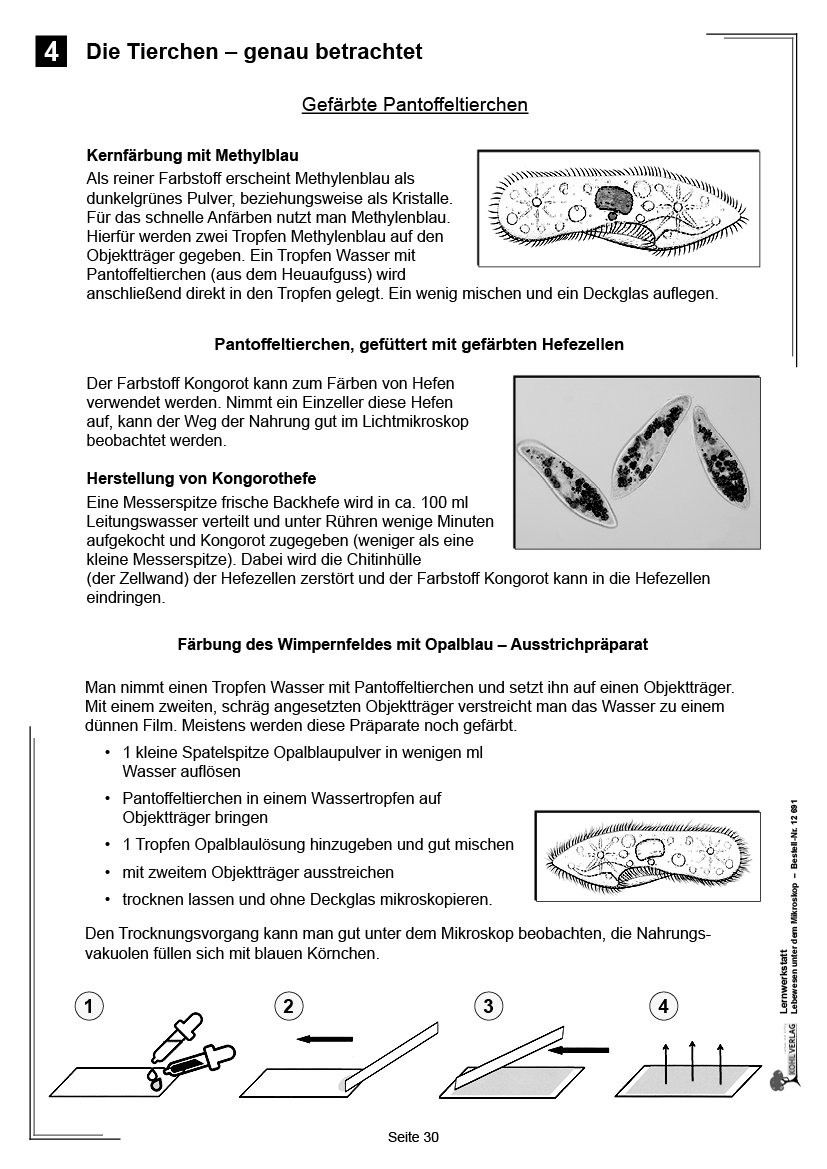 Lernwerkstatt Lebewesen unter dem Mikroskop / Klasse 5-6