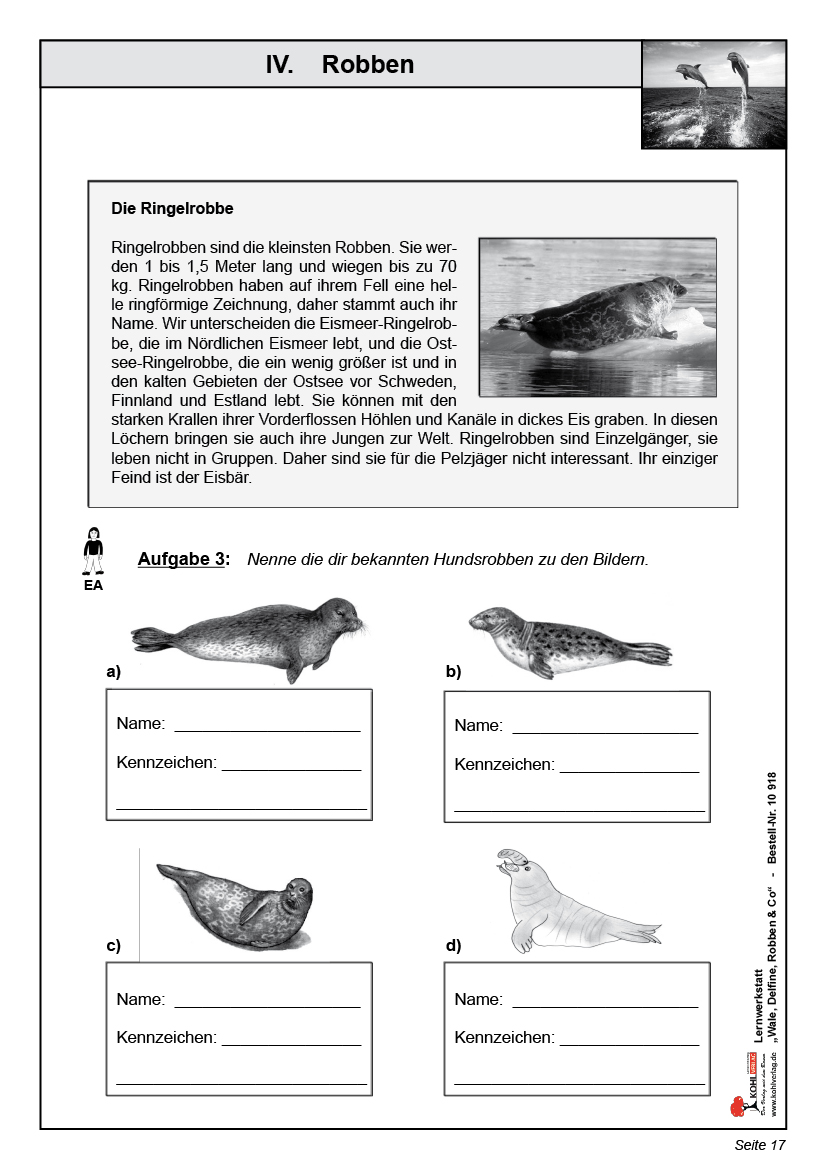 Lernwerkstatt Wale, Delfine, Robben & Co.