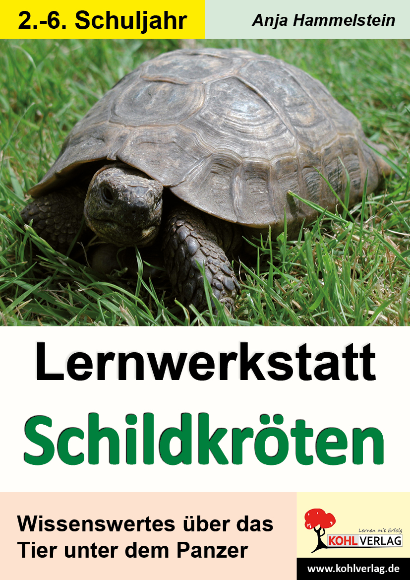 Lernwerkstatt Schildkröten