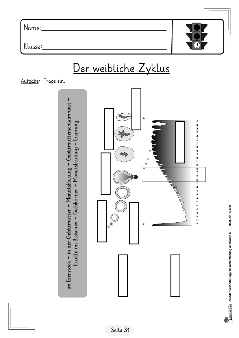 Zeit der Veränderung / Sexualerziehung ab Klasse 6