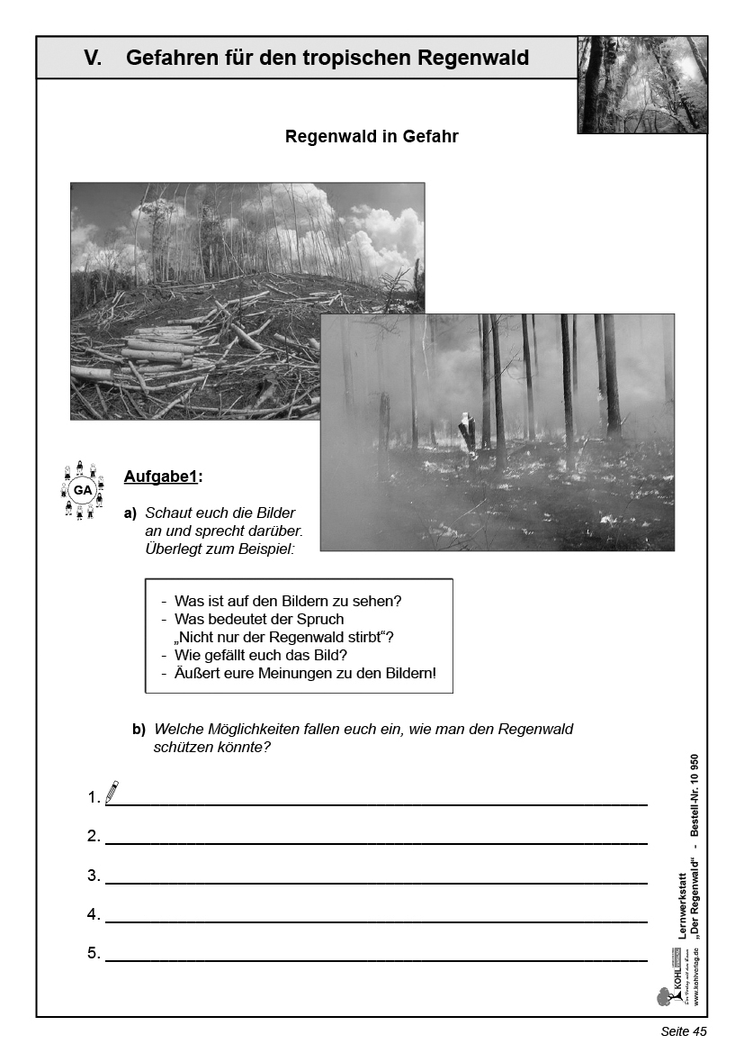 Lernwerkstatt Der Regenwald