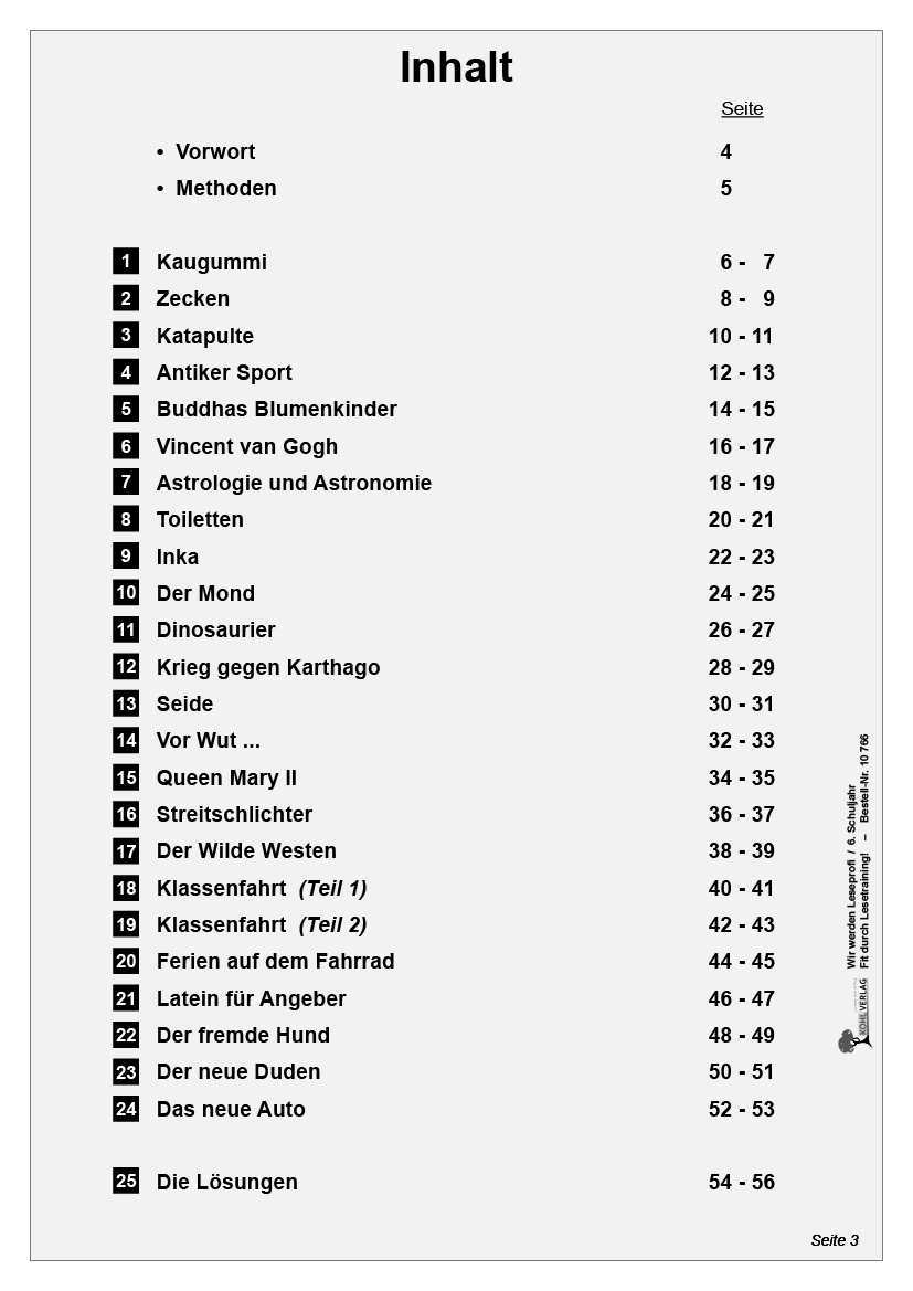 Wir werden Leseprofi / Klasse 6