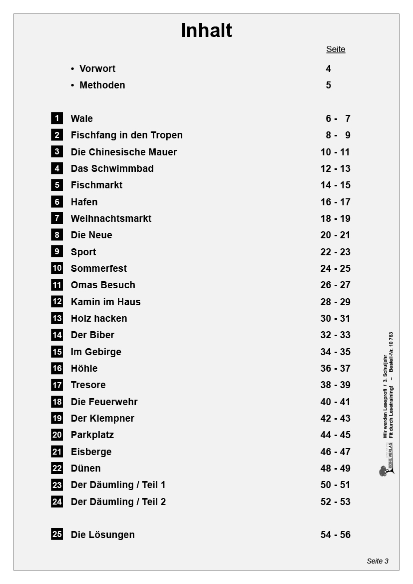 Wir werden Leseprofi / Klasse 3