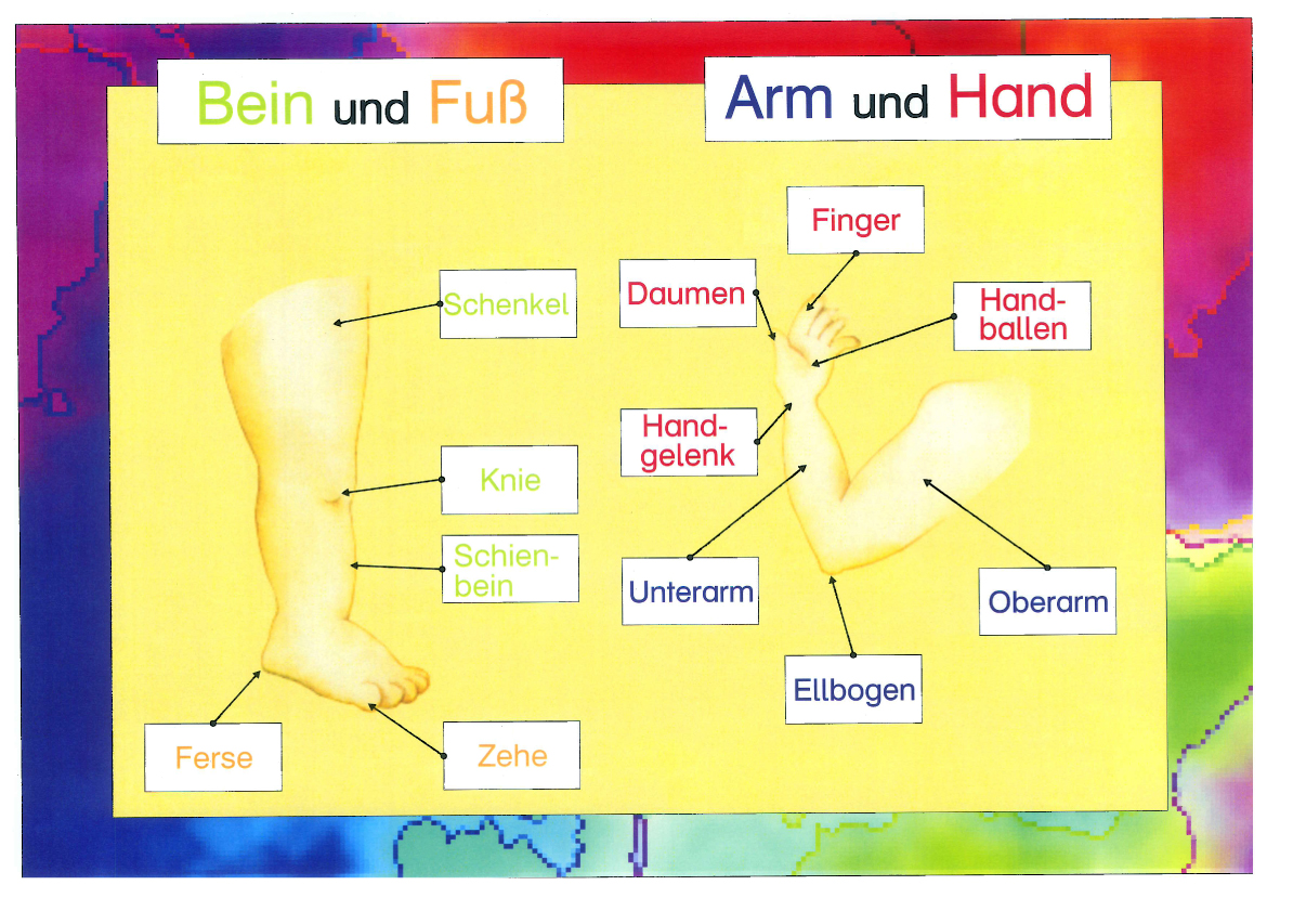 Unser Körper