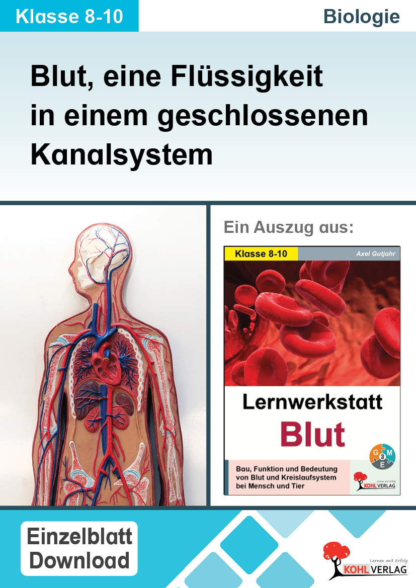 Lernwerkstatt Blut / Blut, eine Flüssigkeit in einem geschlossenen Kanalsystem