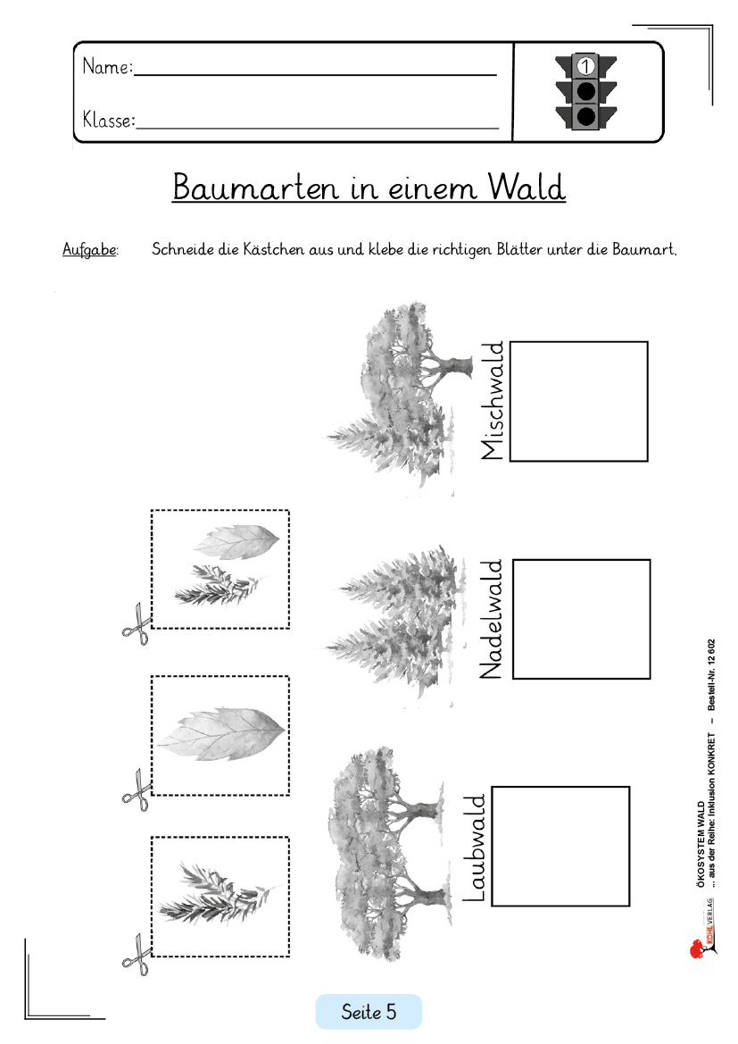 Ökosystem Wald