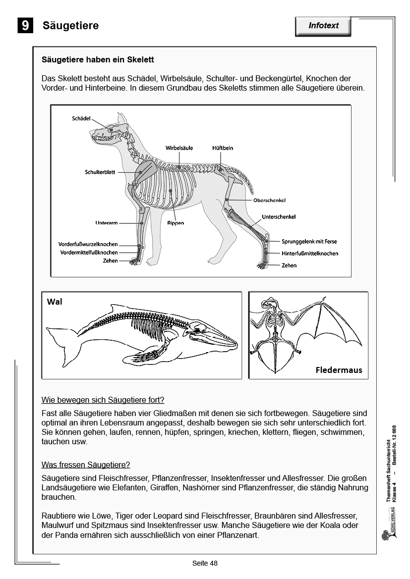 Themenheft Sachunterricht / Klasse 4