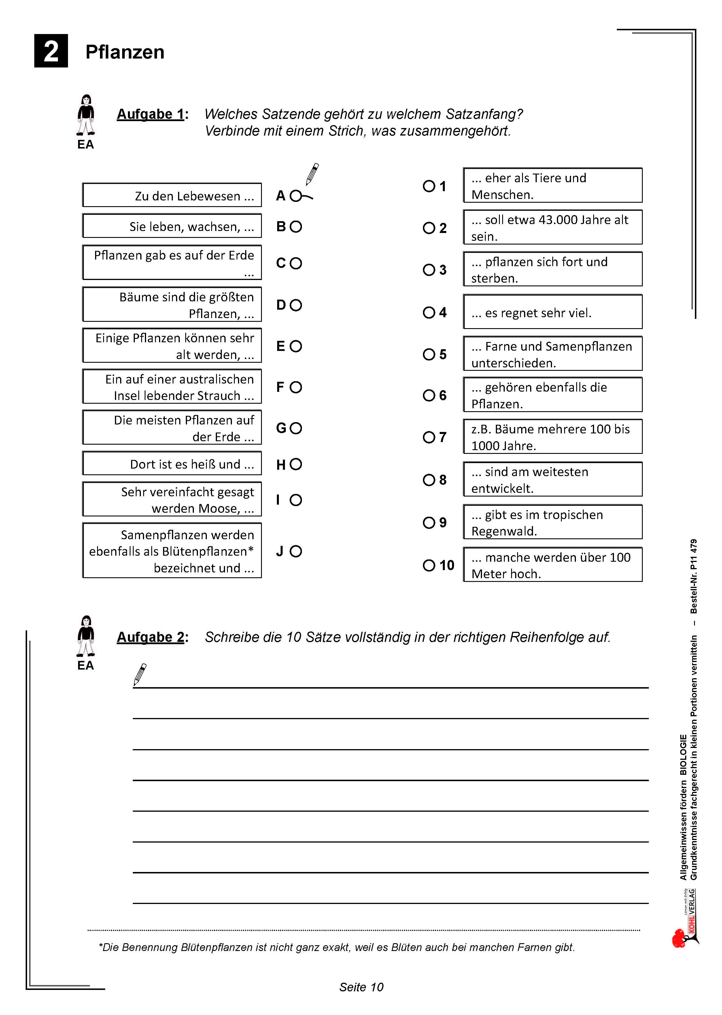 Allgemeinwissen fördern BIOLOGIE: Pflanzen