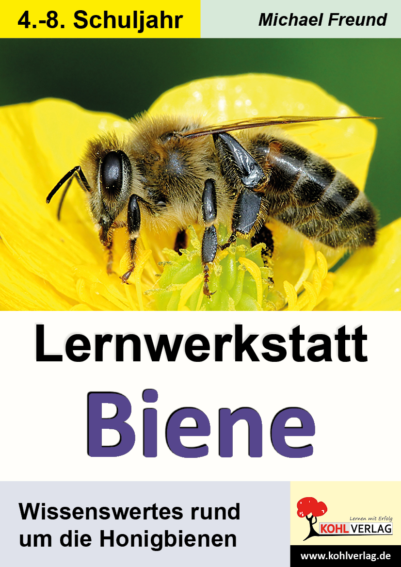 Lernwerkstatt Biene