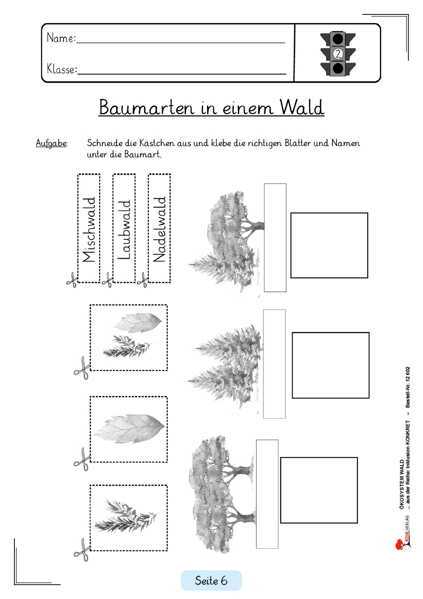 Ökosystem Wald