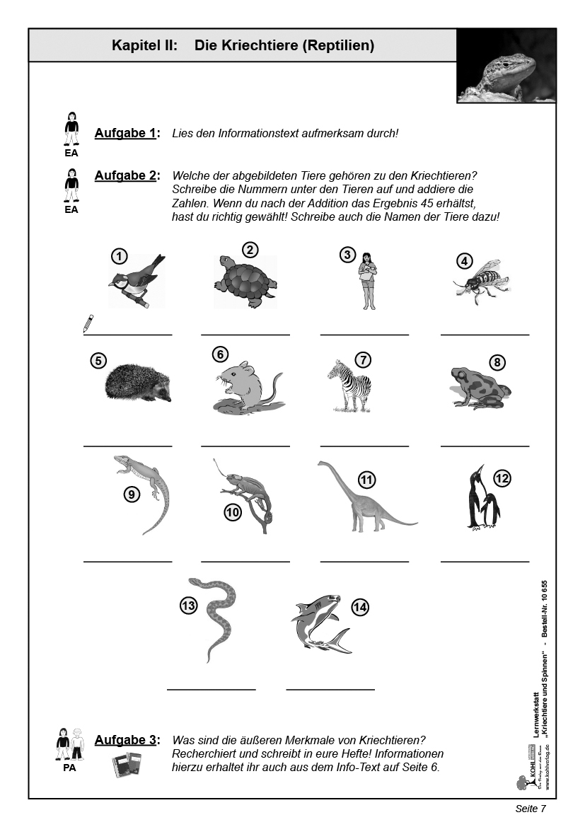 Lernwerkstatt Kriechtiere und Spinnen