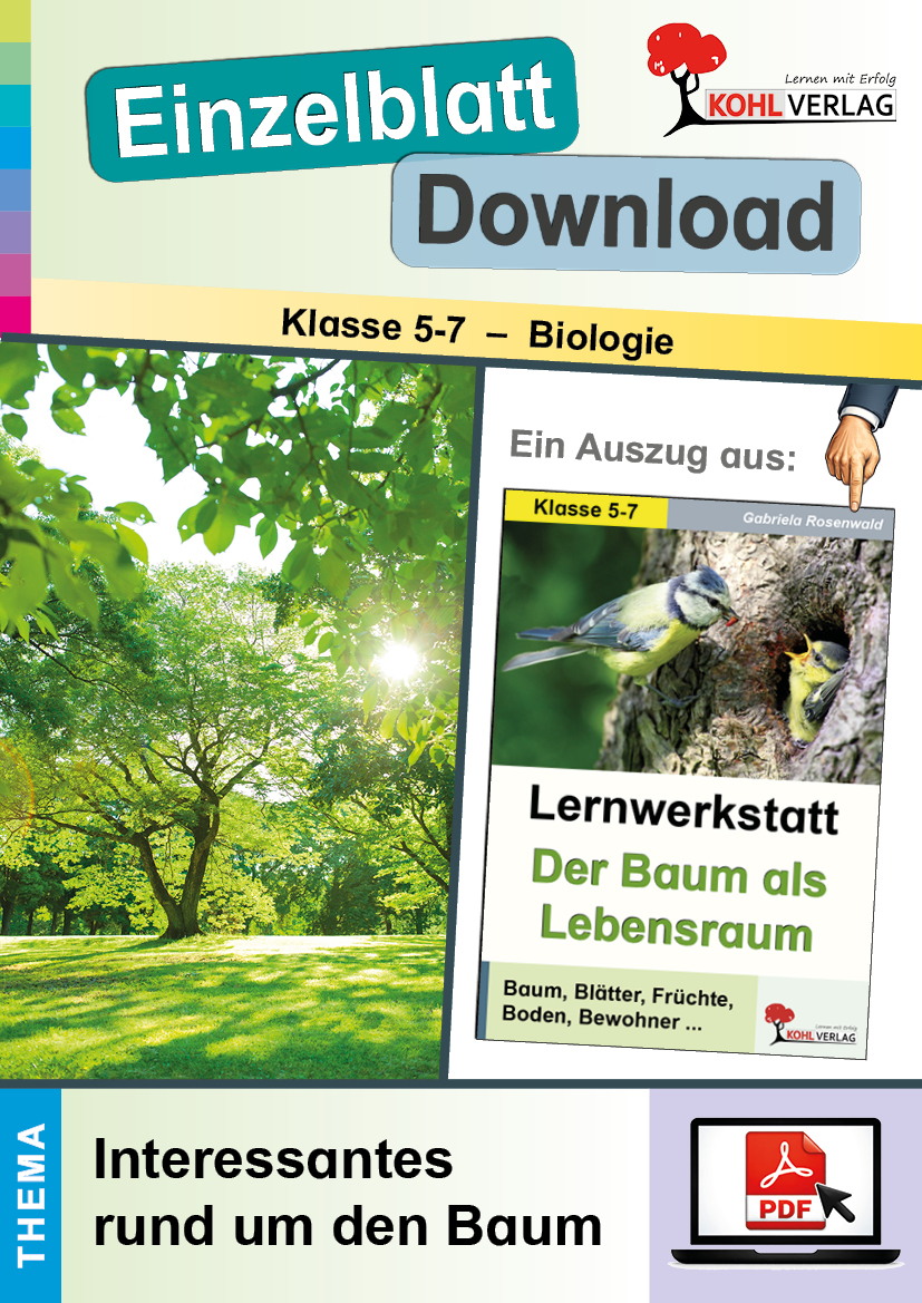 Lernwerkstatt Der Baum als Lebensraum / Interessantes rund um den Baum