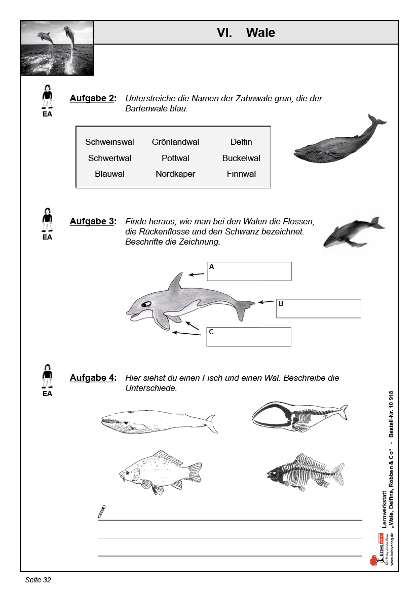 Lernwerkstatt Wale, Delfine, Robben & Co.