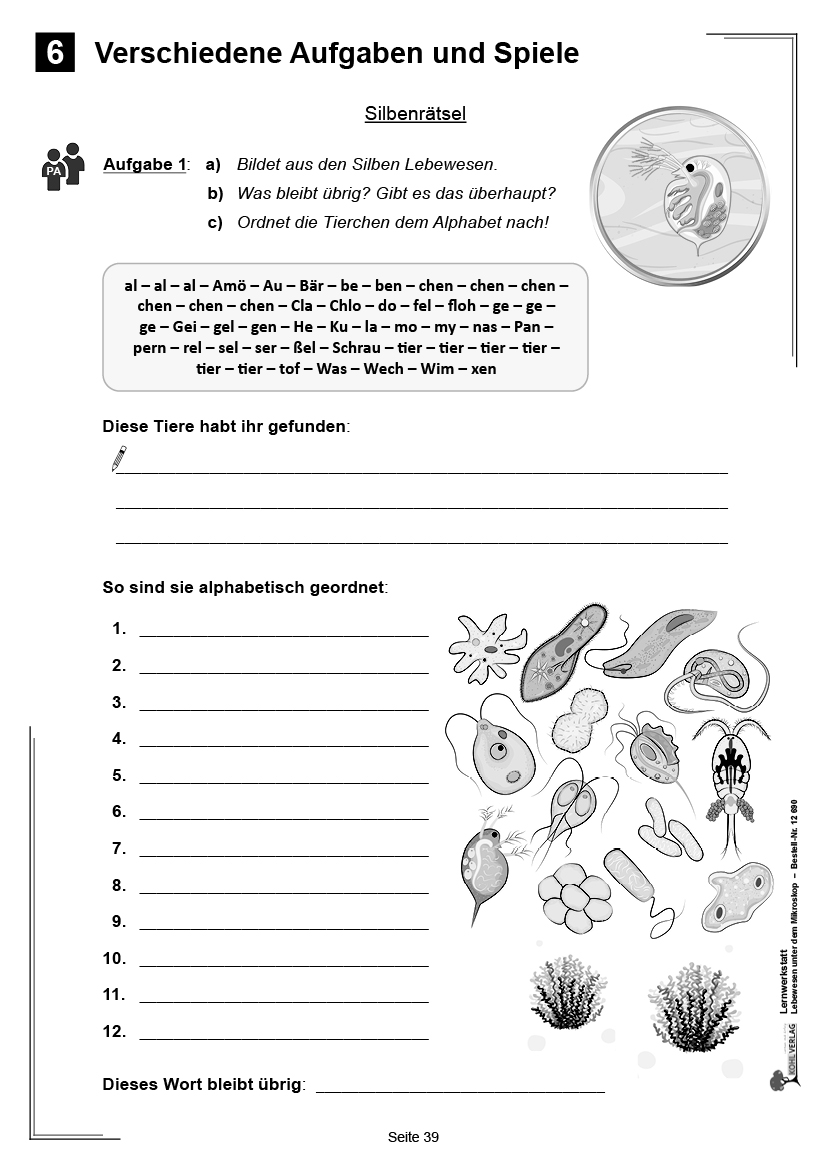 Lernwerkstatt Lebewesen unter dem Mikroskop / Klasse 3-4 Lernwerkstatt Lebewesen unter dem Mikroskop / Klasse 3-4
