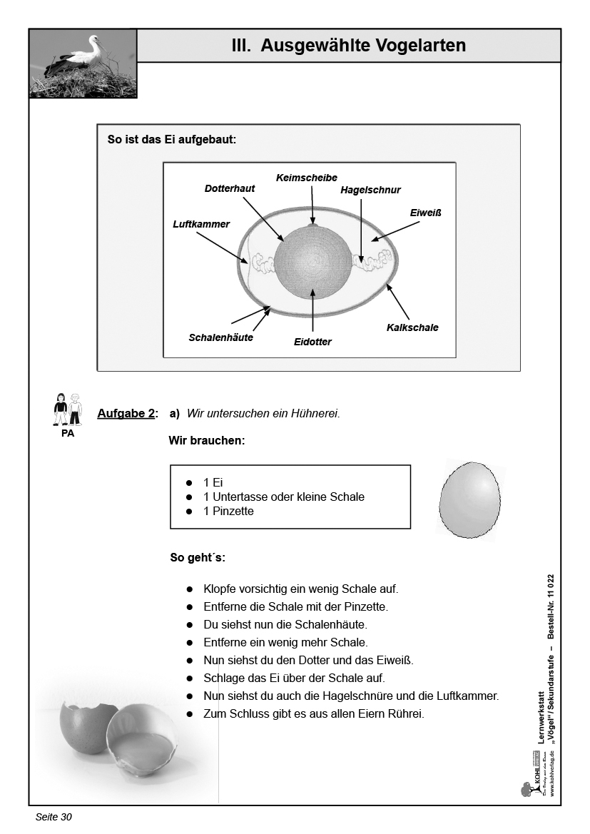 Lernwerkstatt Vögel / SEK Lernwerkstatt Vögel / SEK
