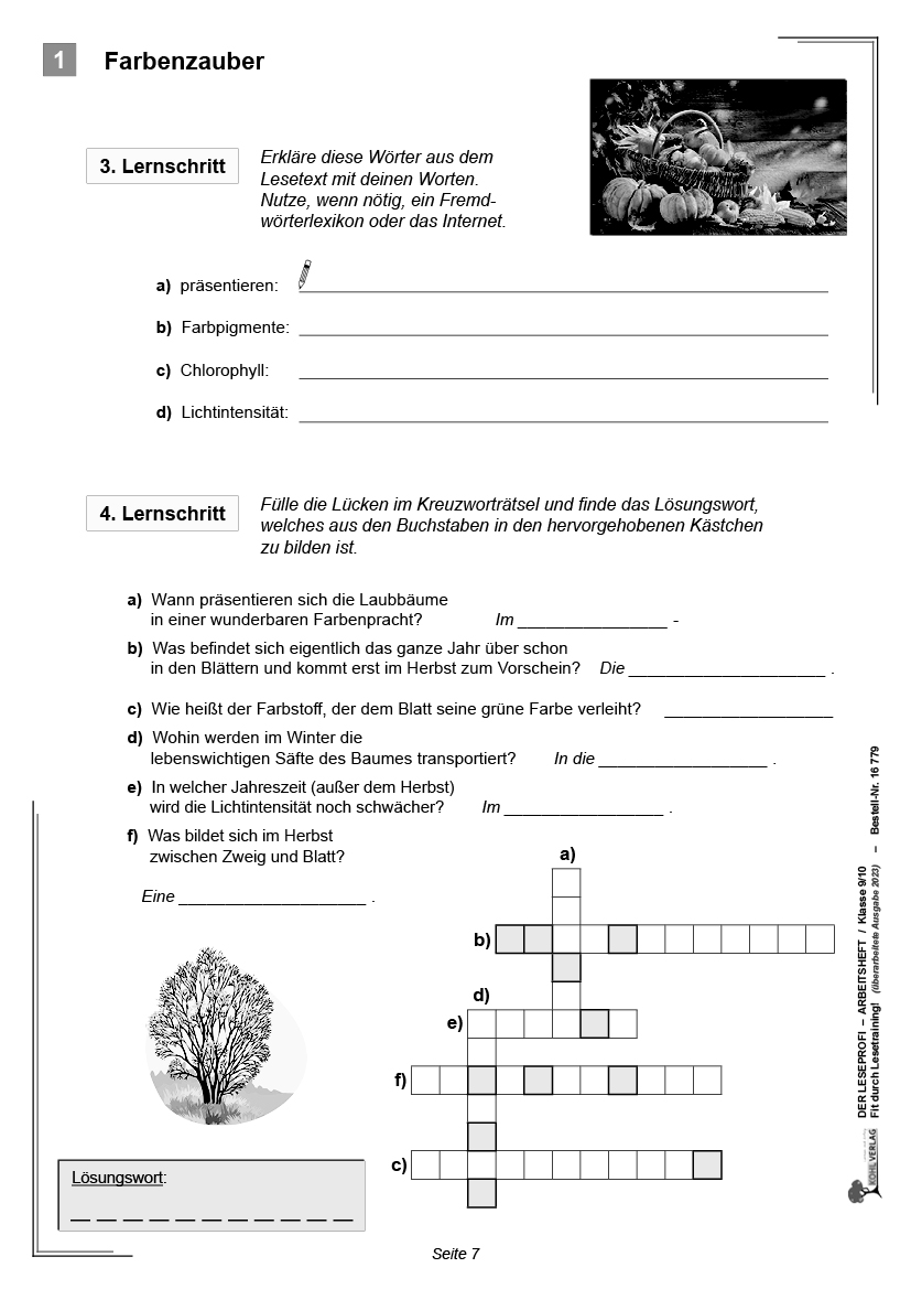 Der Leseprofi - Arbeitsheft / Klasse 9-10