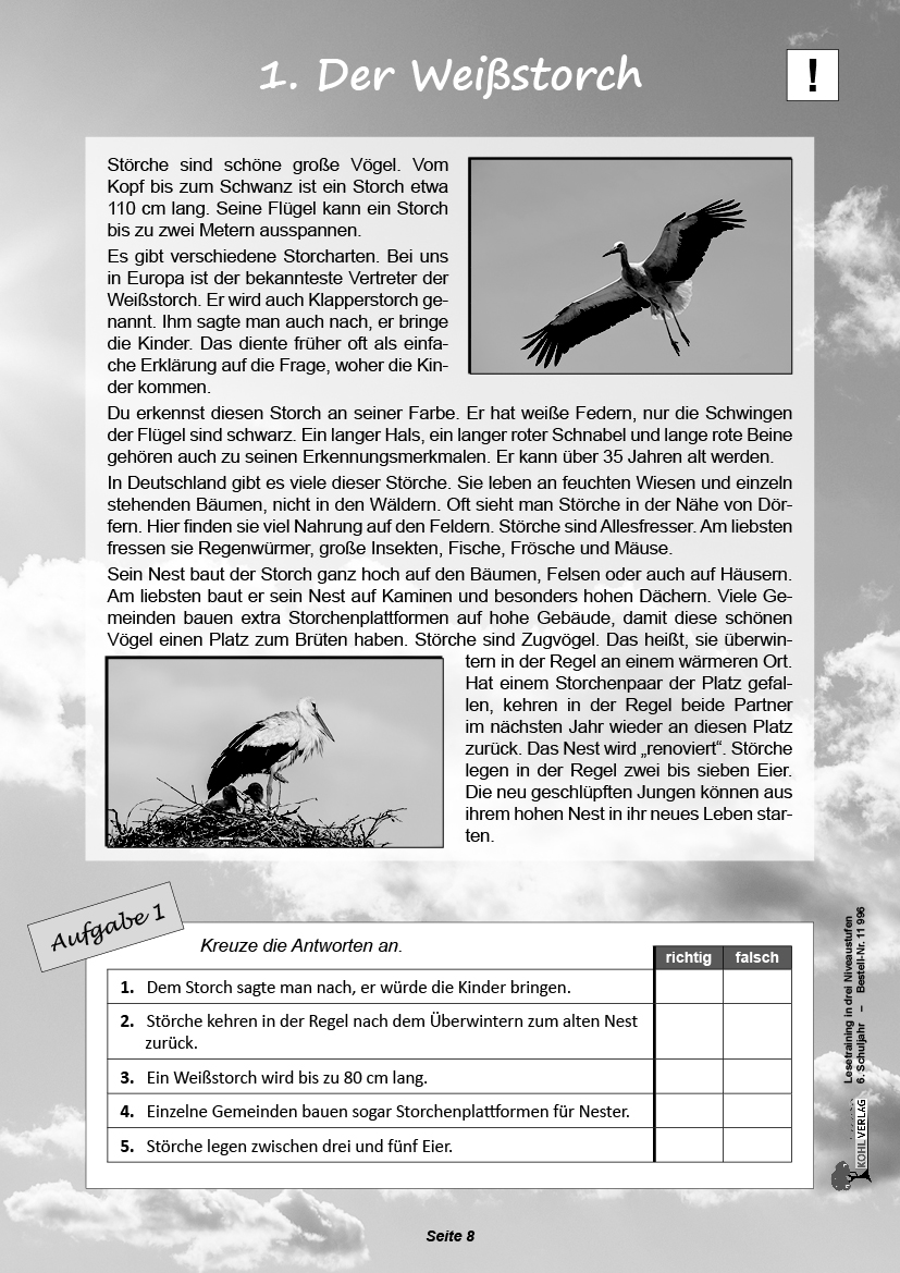 Lesetraining in drei Niveaustufen / Klasse 6