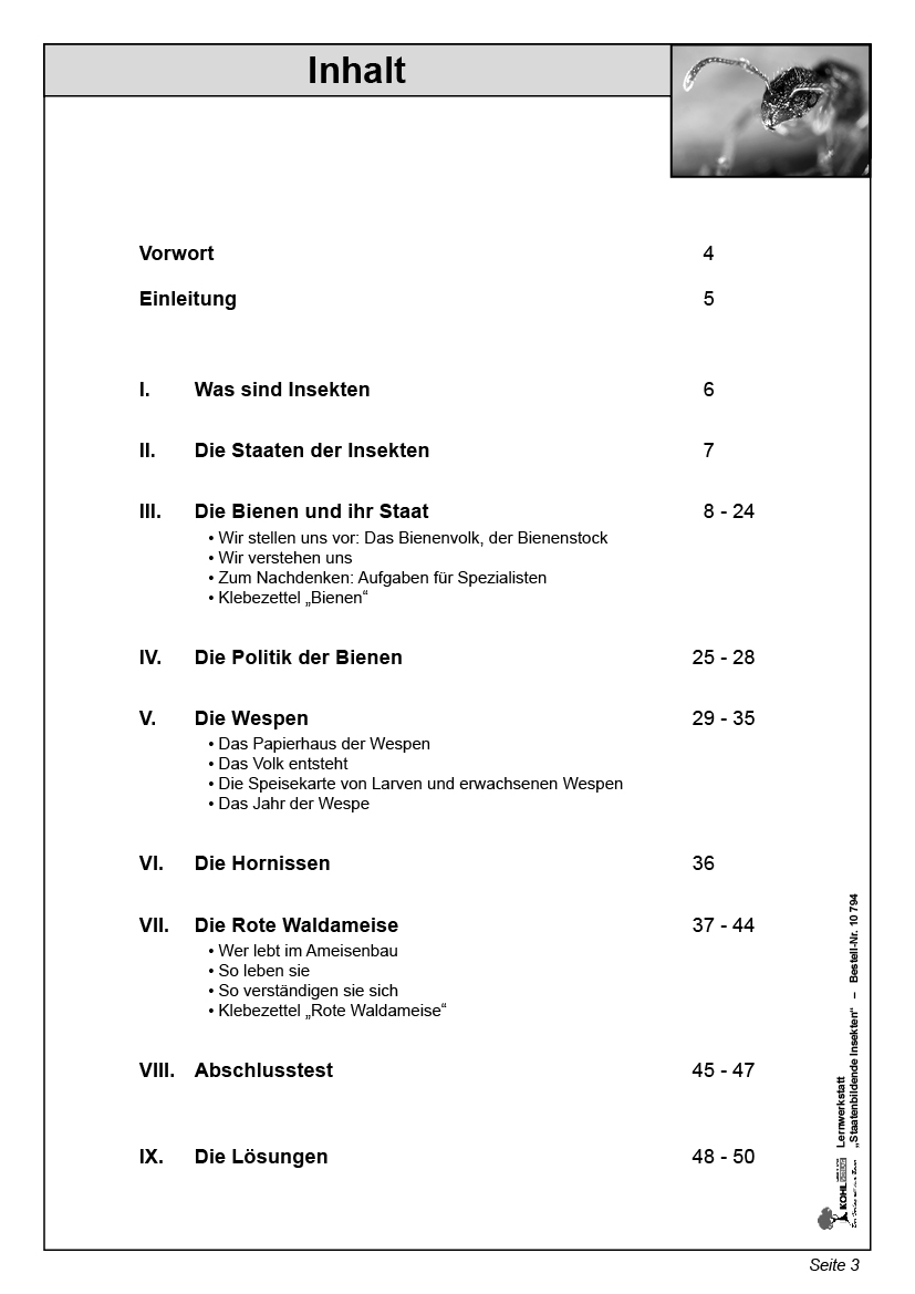 Lernwerkstatt Staatenbildende Insekten