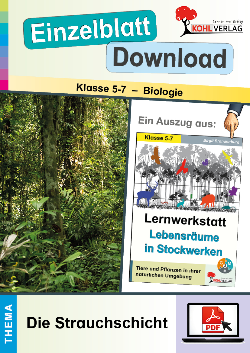 Lernwerkstatt Lebensräume in Stockwerken / Die Strauchschicht