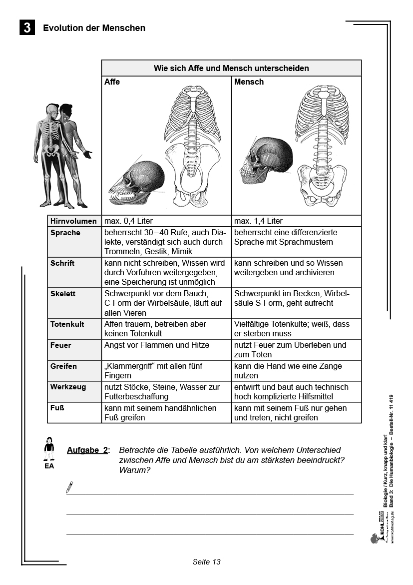 Biologie - Grundwissen kurz, knapp und klar  III