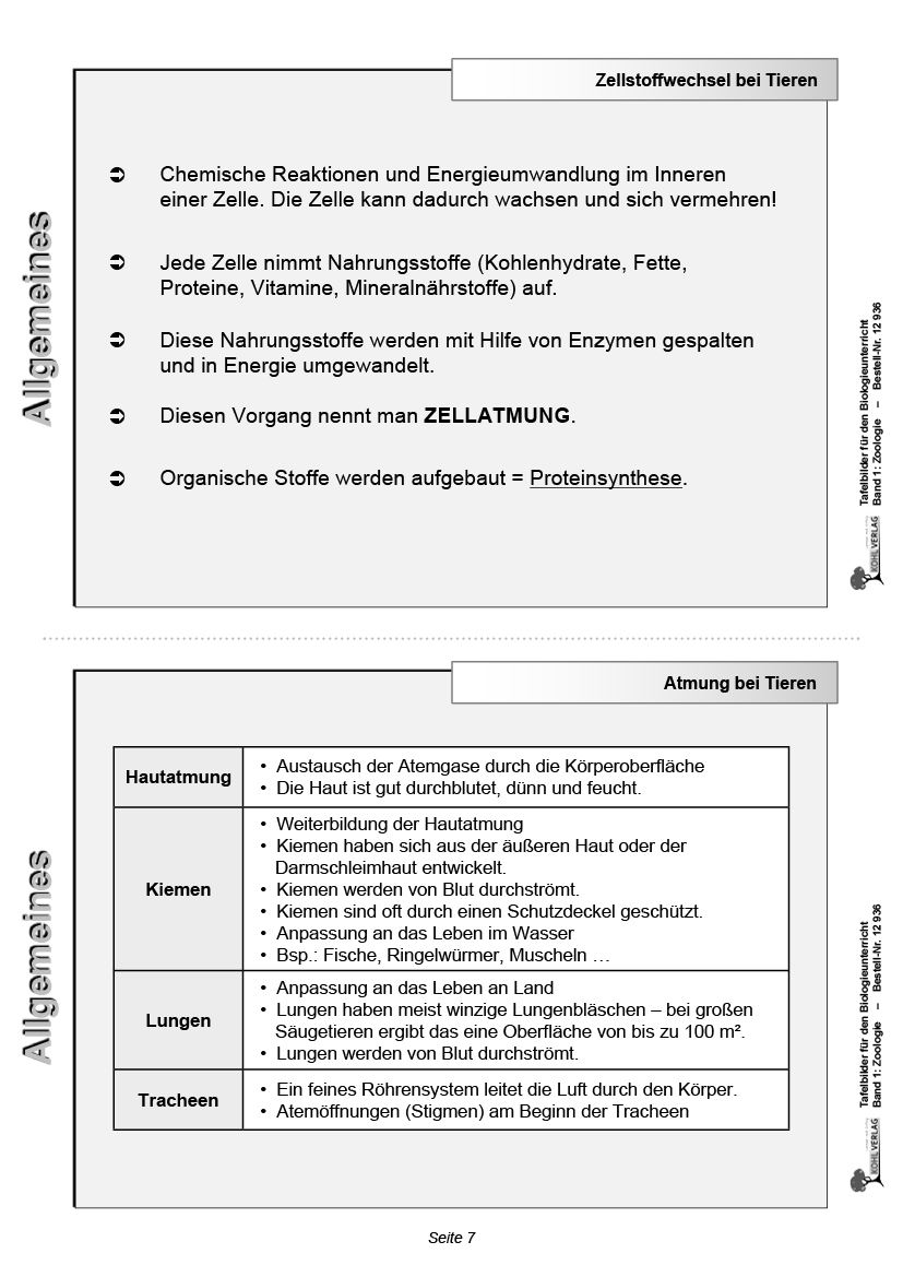 Tafelbilder Zoologie